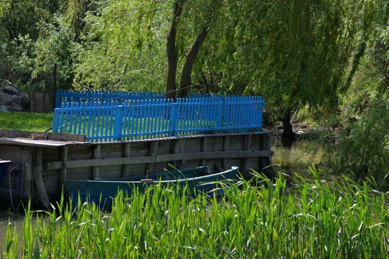 Pensiunea Yogi Dunavăţu de Jos Exteriör bild